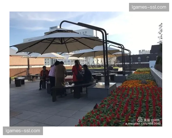自由市场规则：核心标签制度与球员签约窗口期安排
